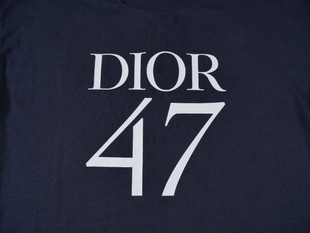 DIO Lettering embroidered crew neck T-shirt - Silhouette Atelier 